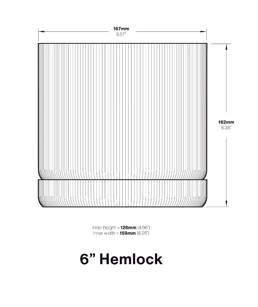 Conifer :: Hemlock Planter 6"