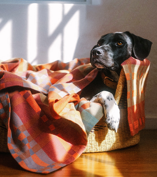 Mungo :: Fido Dog Blanket