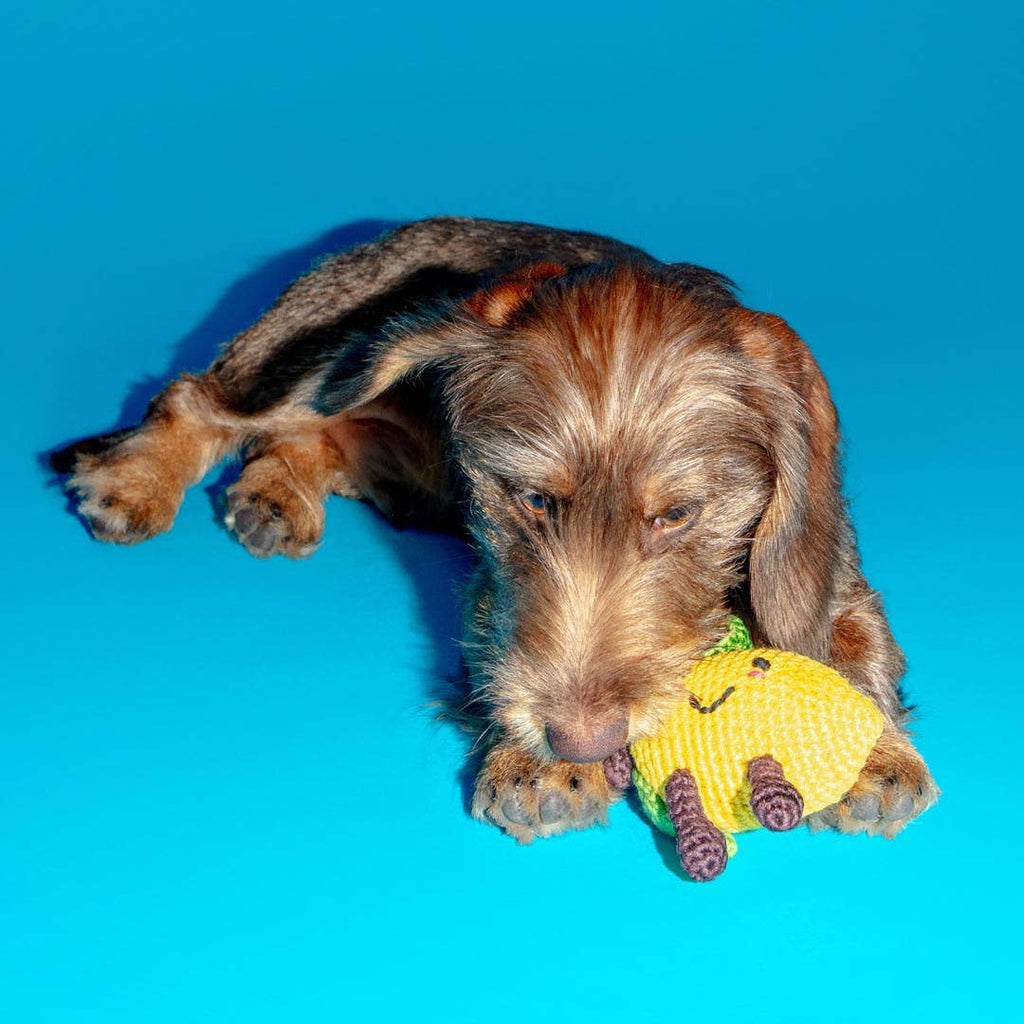 Ware of the Dog :: Cotton Crochet Lemon Dog Toy