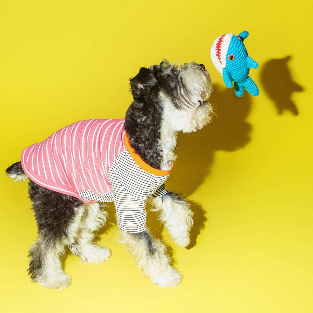 Ware of the Dog :: Cotton Crochet Shark Dog Toy