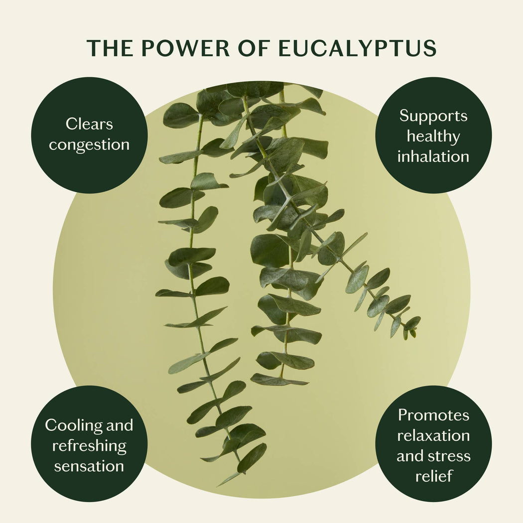 Kate McLeod - Breathe Stone | Soothing Chest Rub