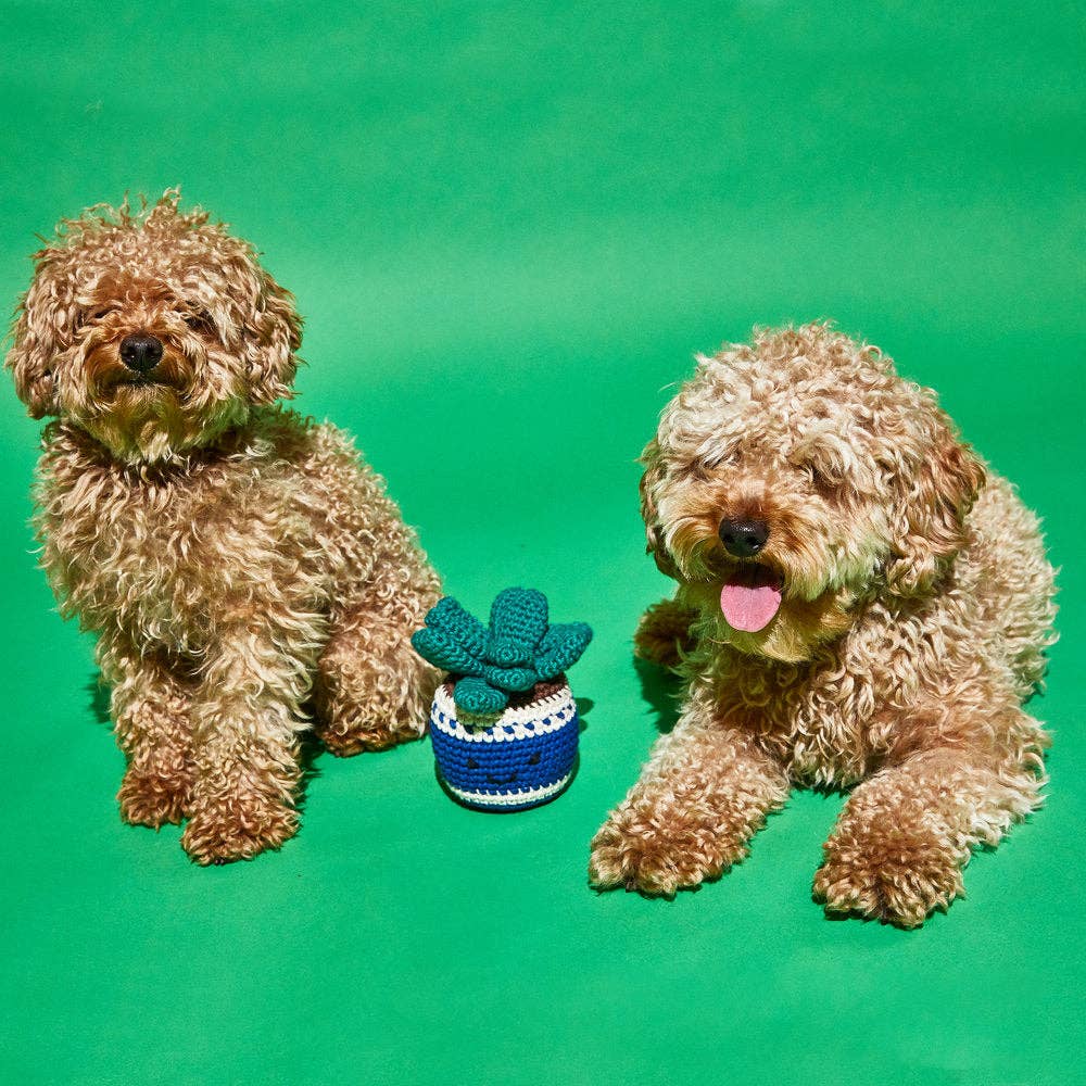 Ware of the Dog :: Cotton Crochet Potted Plant Dog Toy