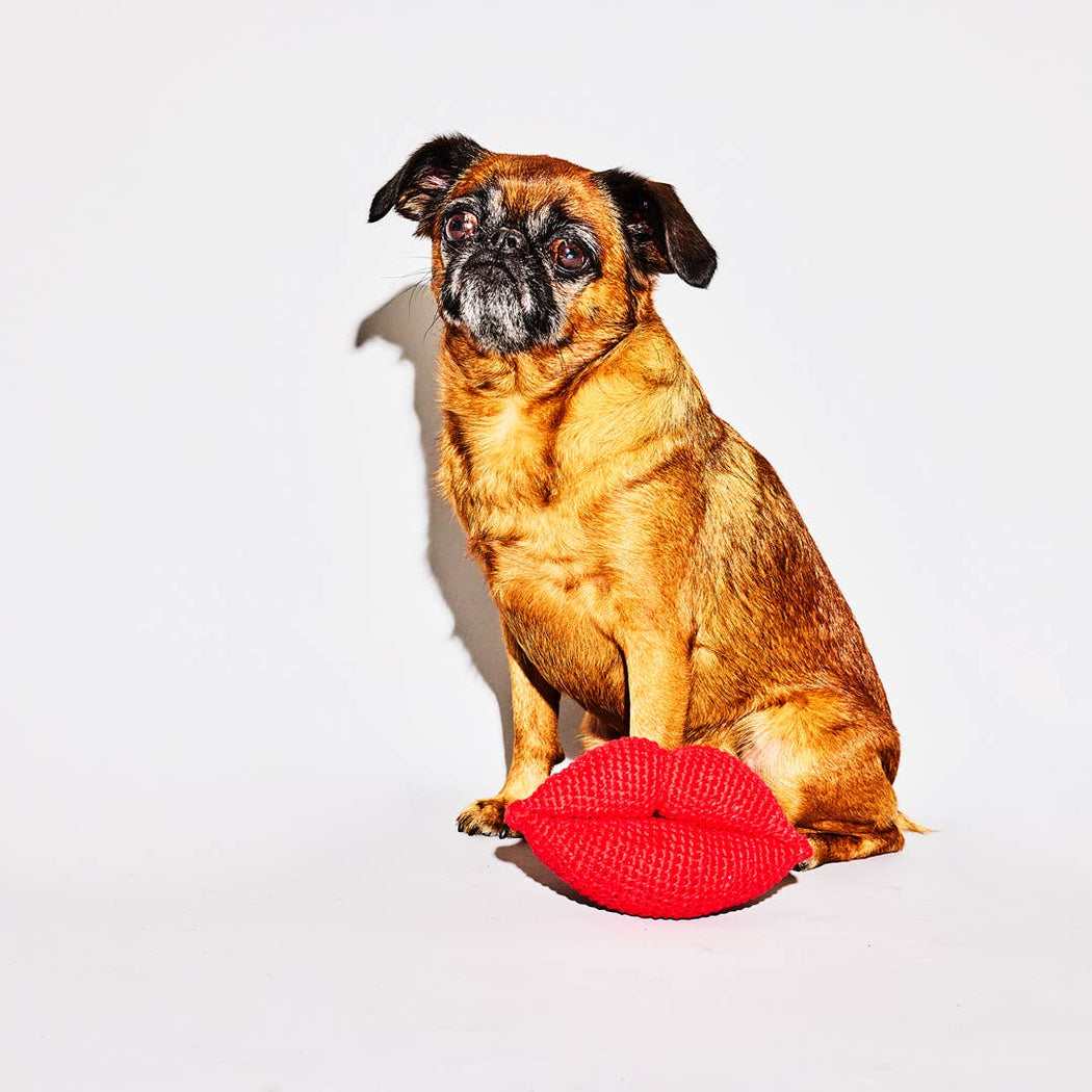 Ware of the Dog :: Cotton Crochet Lips Dog Toy