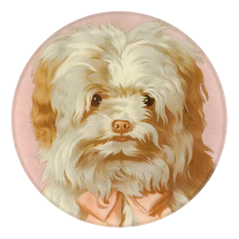 John Derian :: 5 1/4" Round Plate