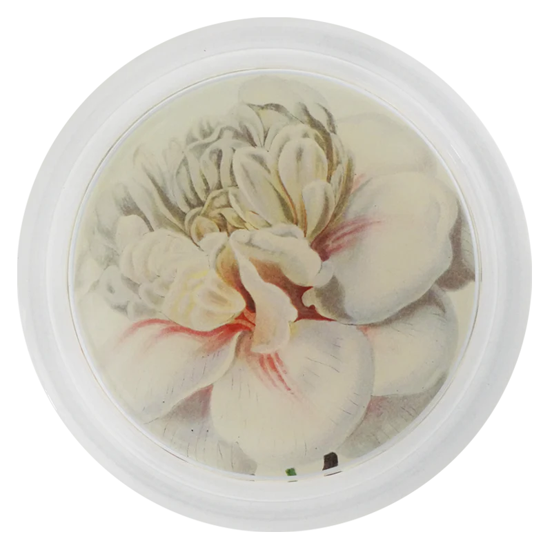 John Derian :: 6" Coaster