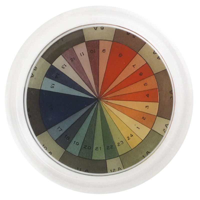 John Derian :: 6" Coaster