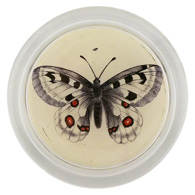 John Derian :: 6" Coaster