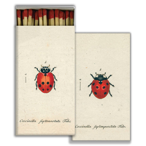 Matches :: Little Lady Bug