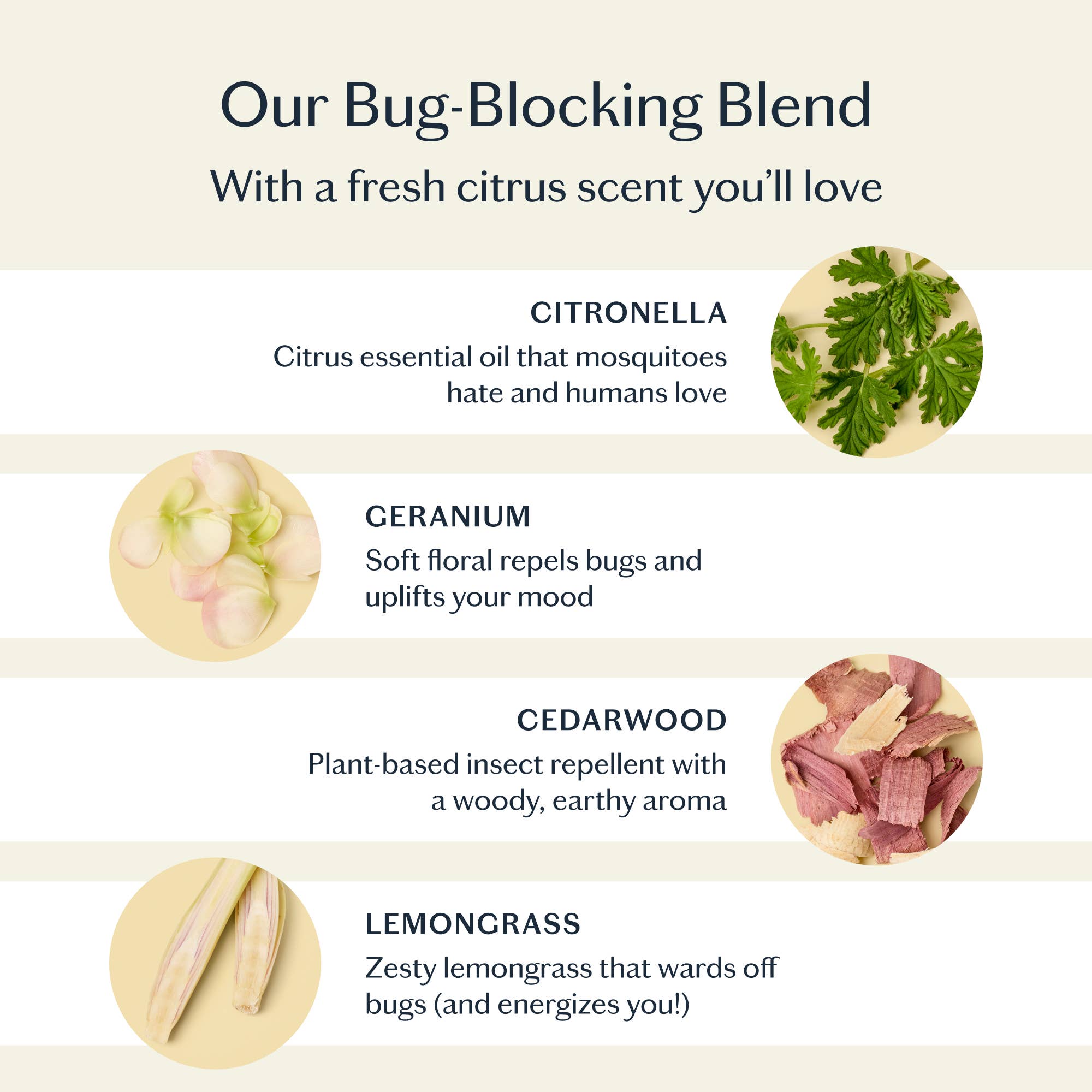 Kate McLeod :: The Bug Balm Insect Repellent