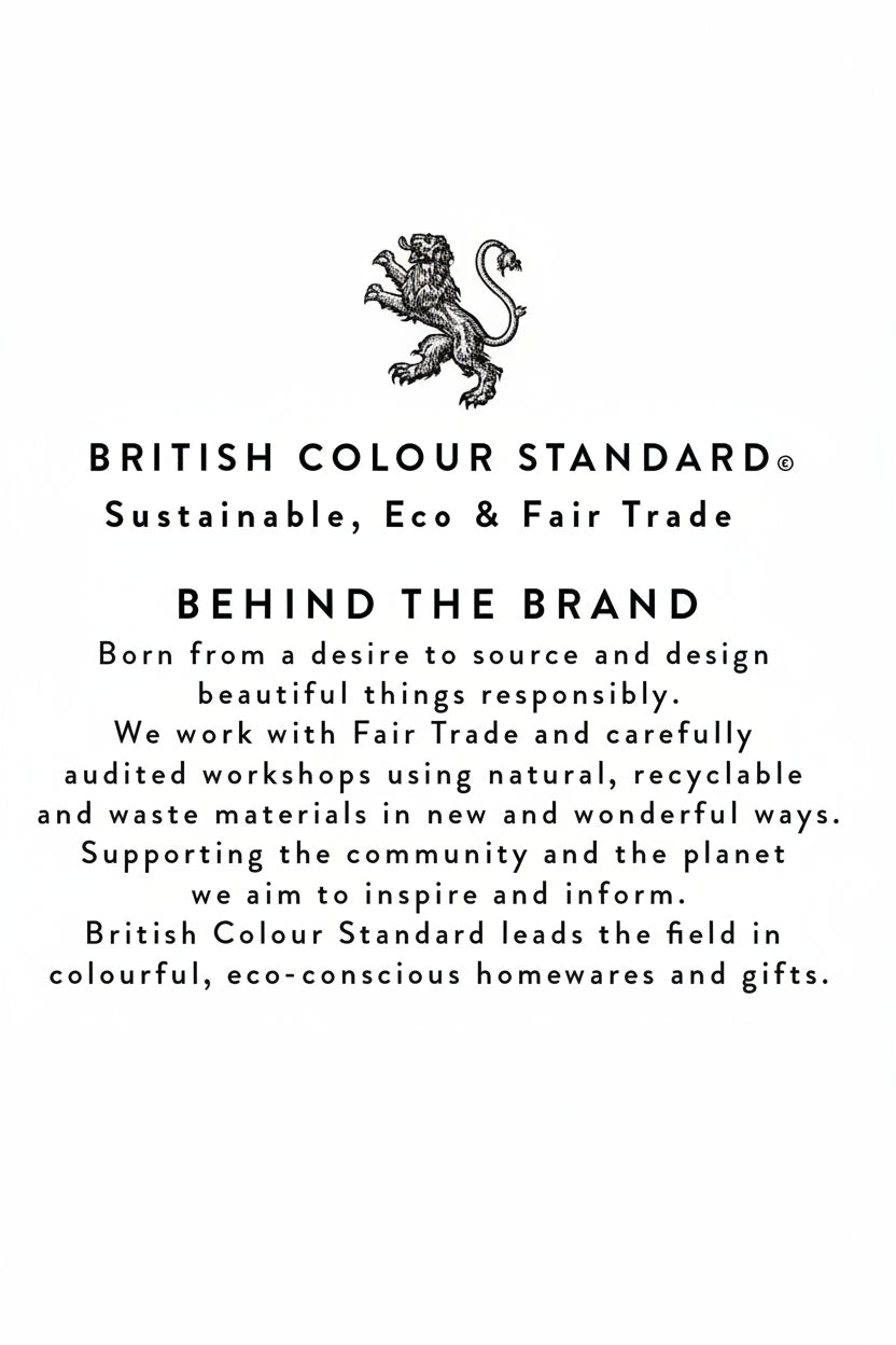 British Colour Standard :: Enamel Soap Dish