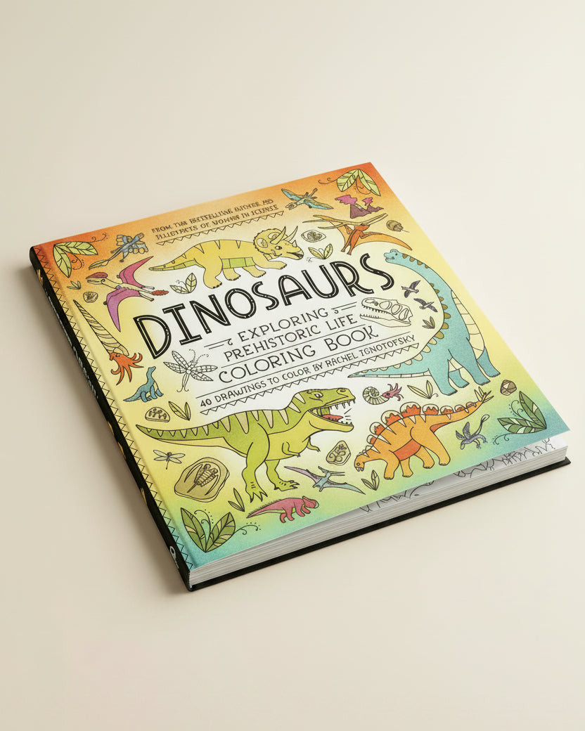 Dinosaurs Coloring Book