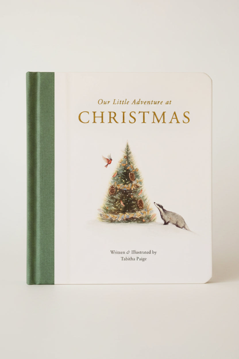 Our Little Adventure at Christmas