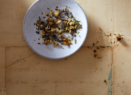 Bellocq :: Nocturne Tea