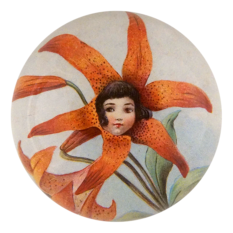 John Derian :: Dome Paperweight