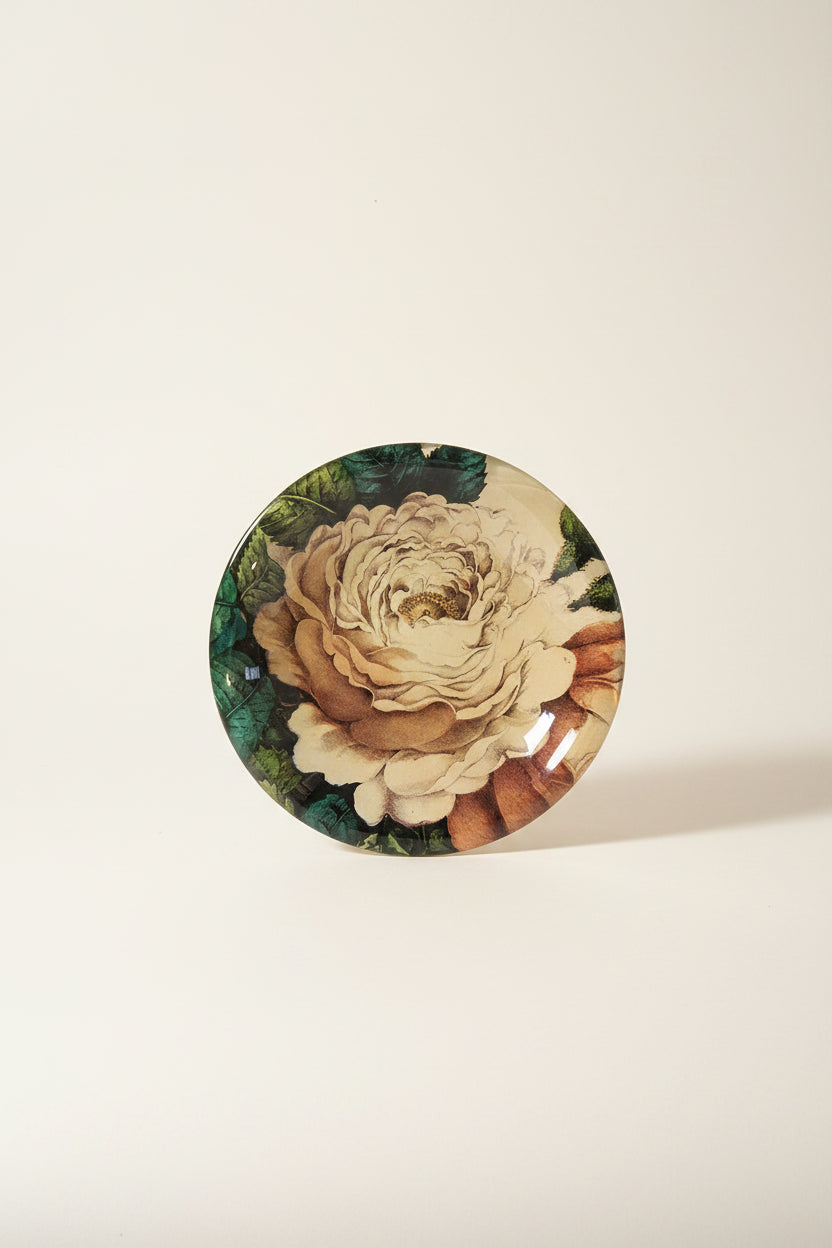 John Derian :: Dome Paperweight