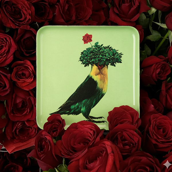 Gangzai :: Romeo Square Tray