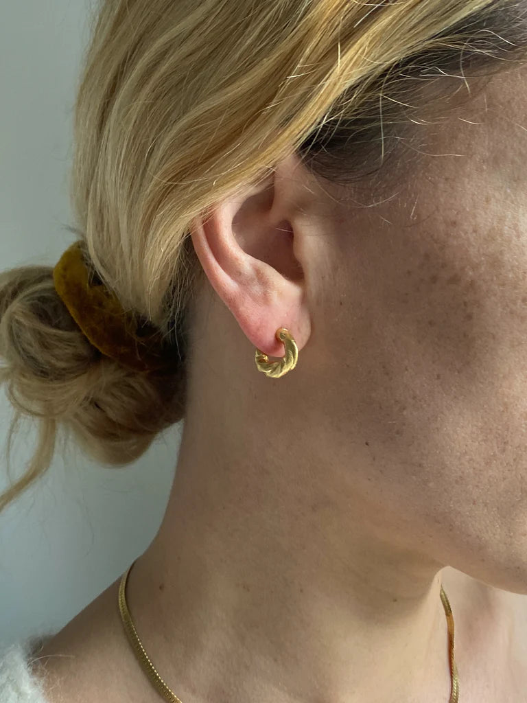 Mercurial Studio :: Vivie Hoops