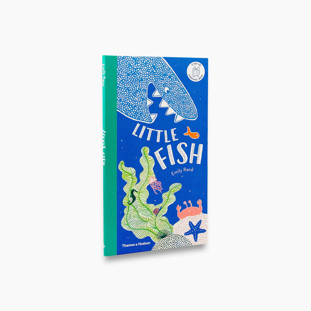 Little Fish :: Pop-Up Book