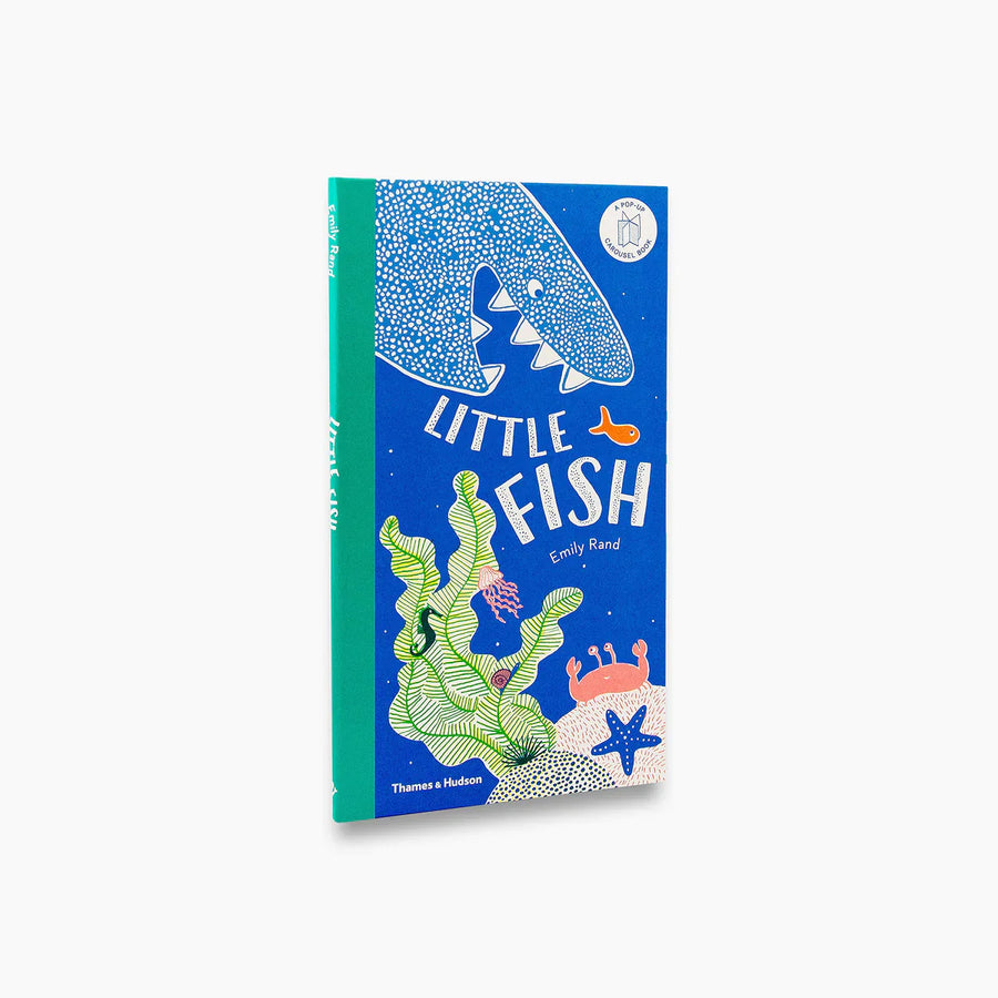 Little Fish :: Pop-Up Book