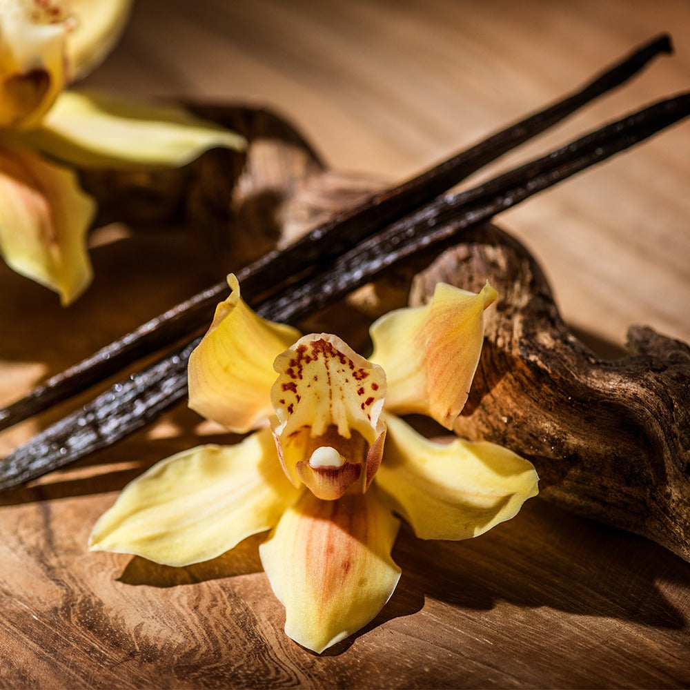 Cerato :: Peace Root Perfume Oil