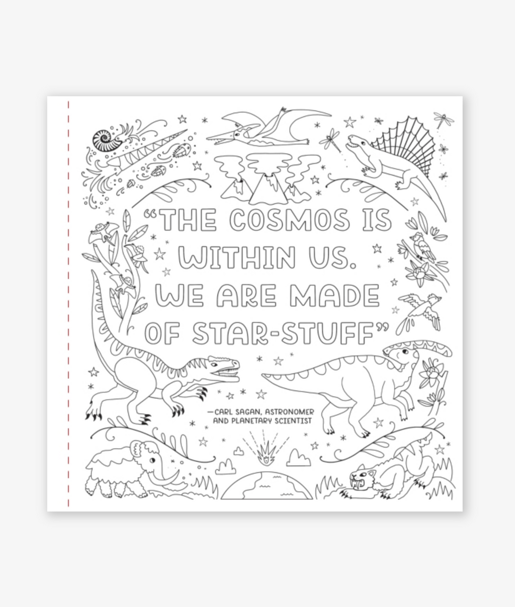 Dinosaurs Coloring Book