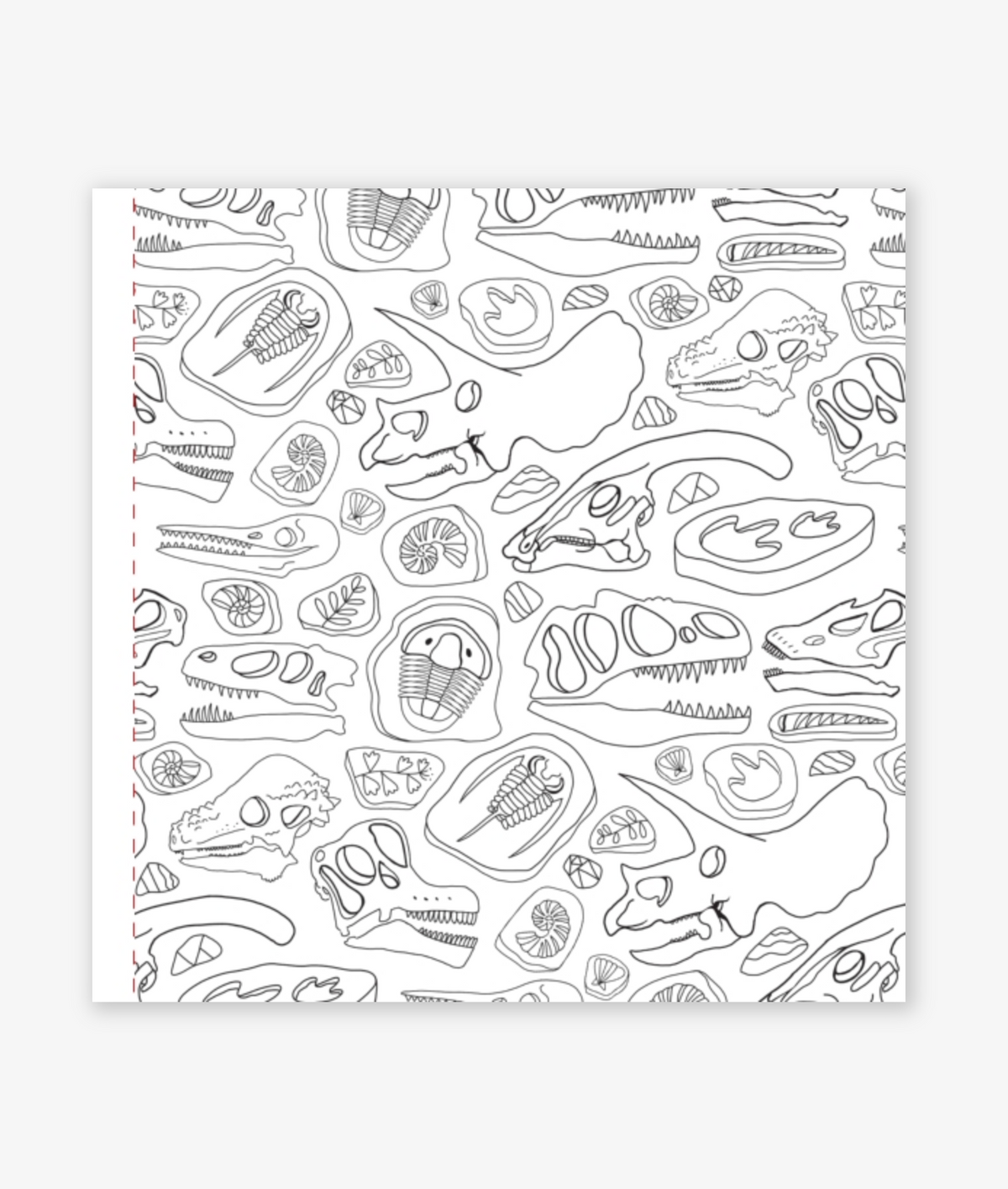 Dinosaurs Coloring Book