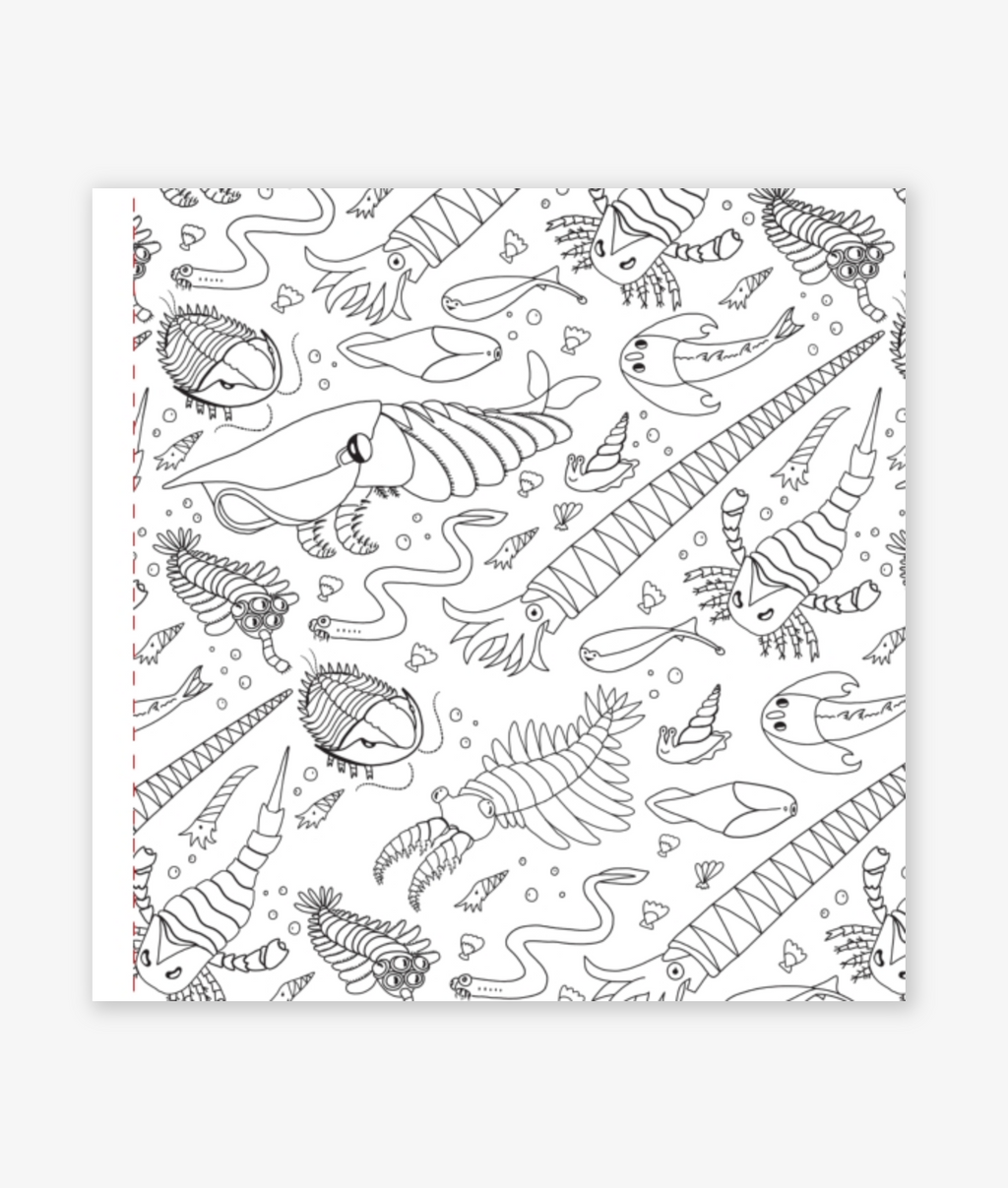 Dinosaurs Coloring Book