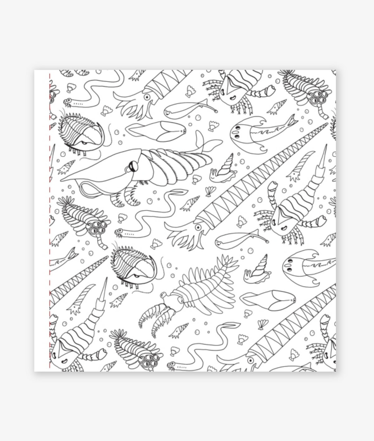 Dinosaurs Coloring Book