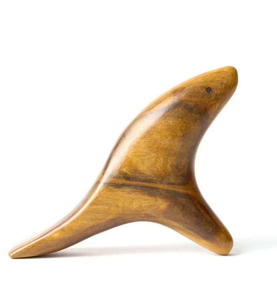 A OK :: The Bird Body Gua Sha
