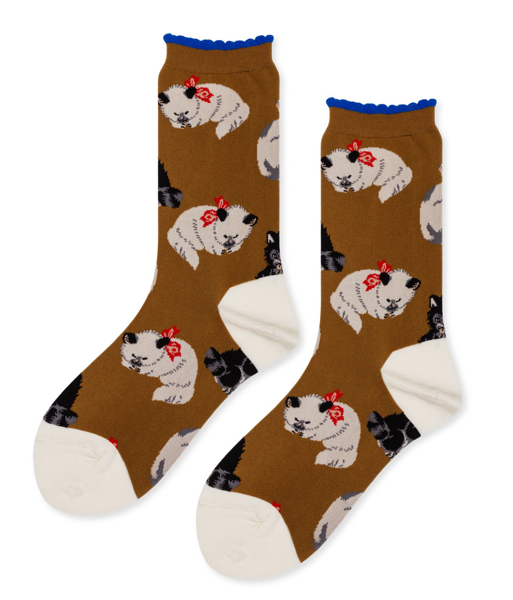 Hansel from Basel :: Kitkat Crew