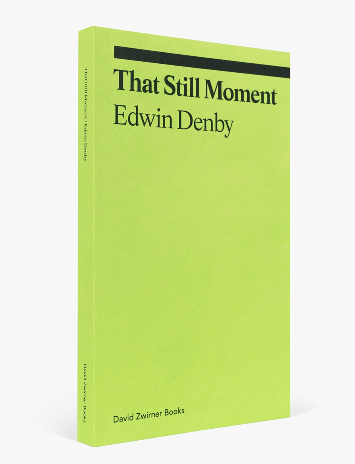 That Still Moment :: David Zwirner Books