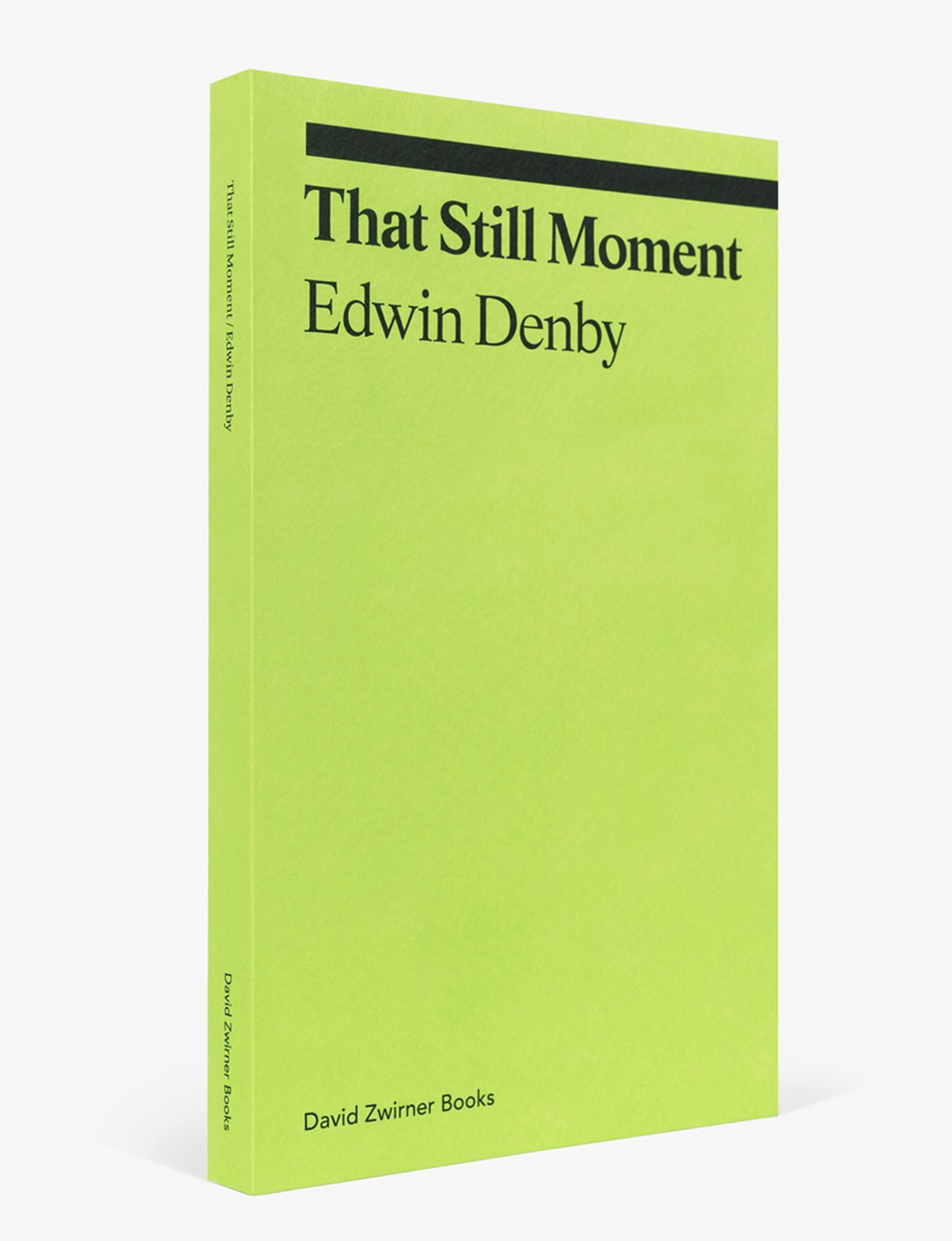 That Still Moment :: David Zwirner Books