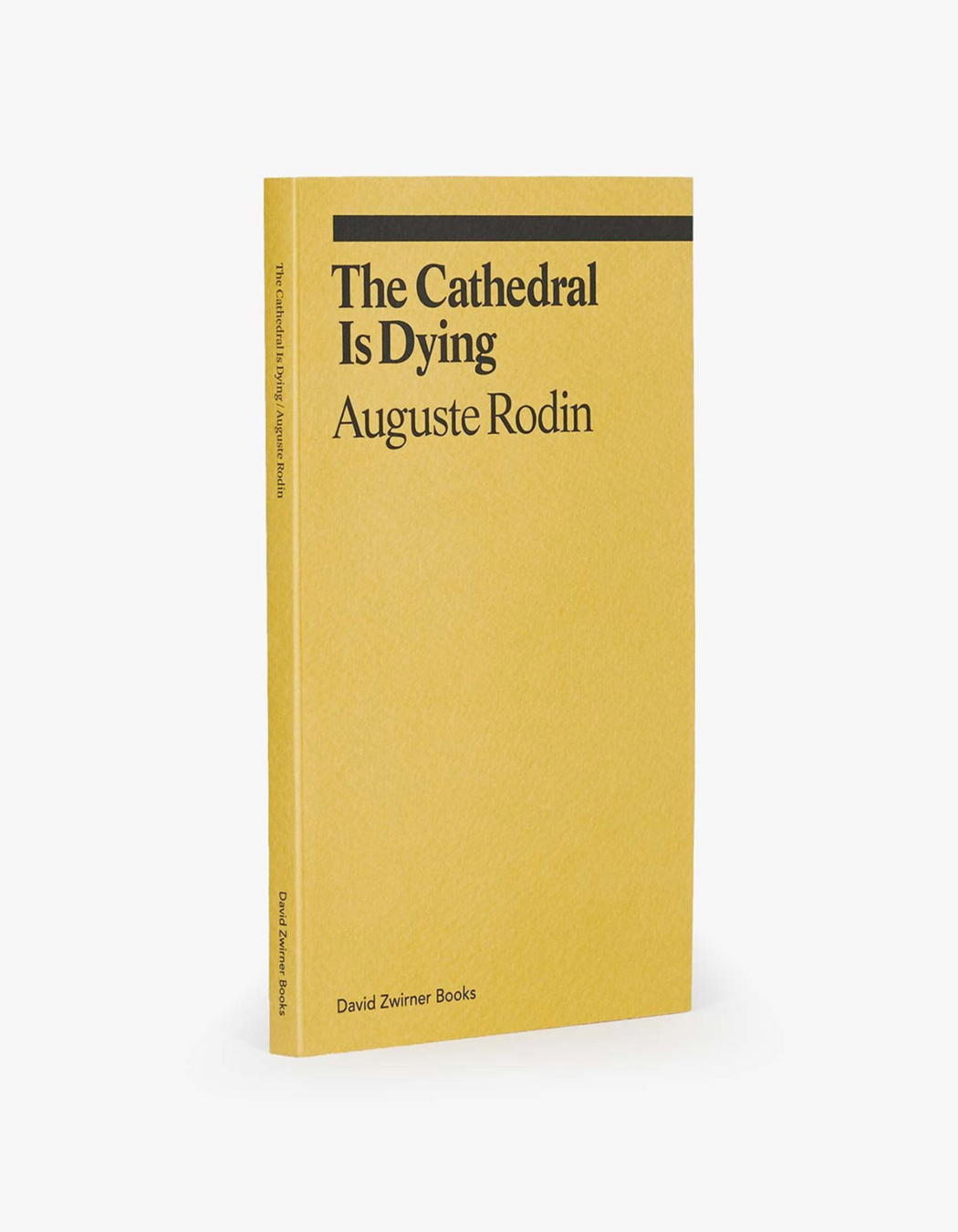 The Cathedral Is Dying :: David Zwirner Books