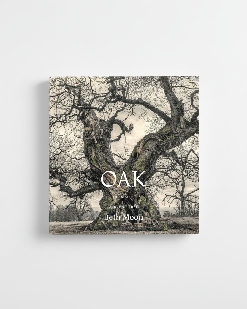 Oak: From Seed to Ancient Tree