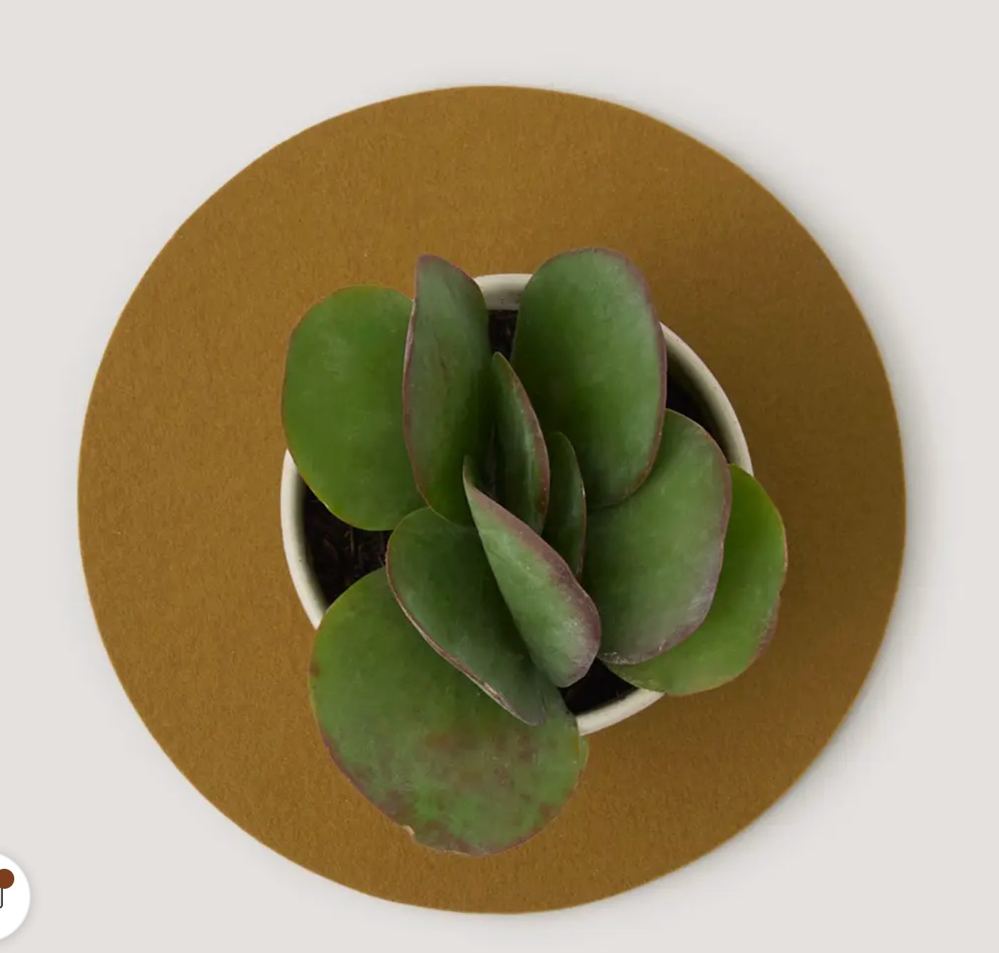 Graf Lantz :: Merino Wool Round Trivet