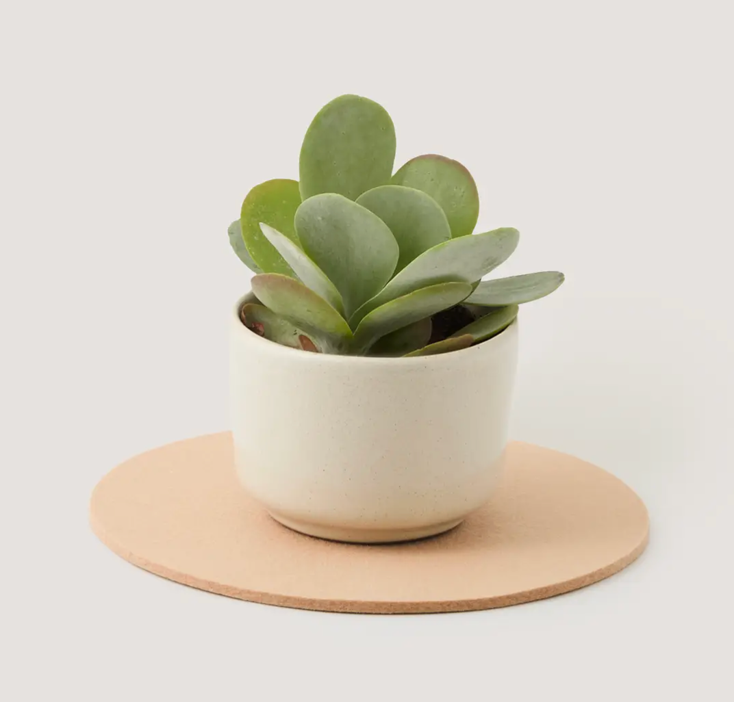 Graf Lantz :: Merino Wool Round Trivet