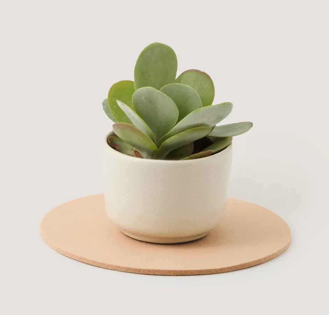 Graf Lantz :: Merino Wool Round Trivet