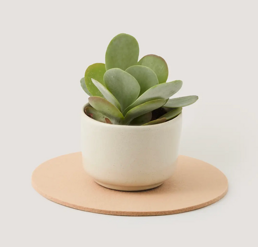 Graf Lantz :: Merino Wool Round Trivet