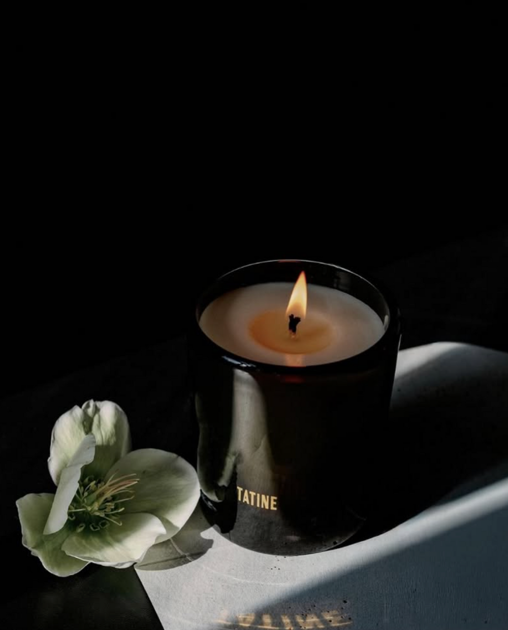 Tatine :: Holy Basil 8 oz. Candle
