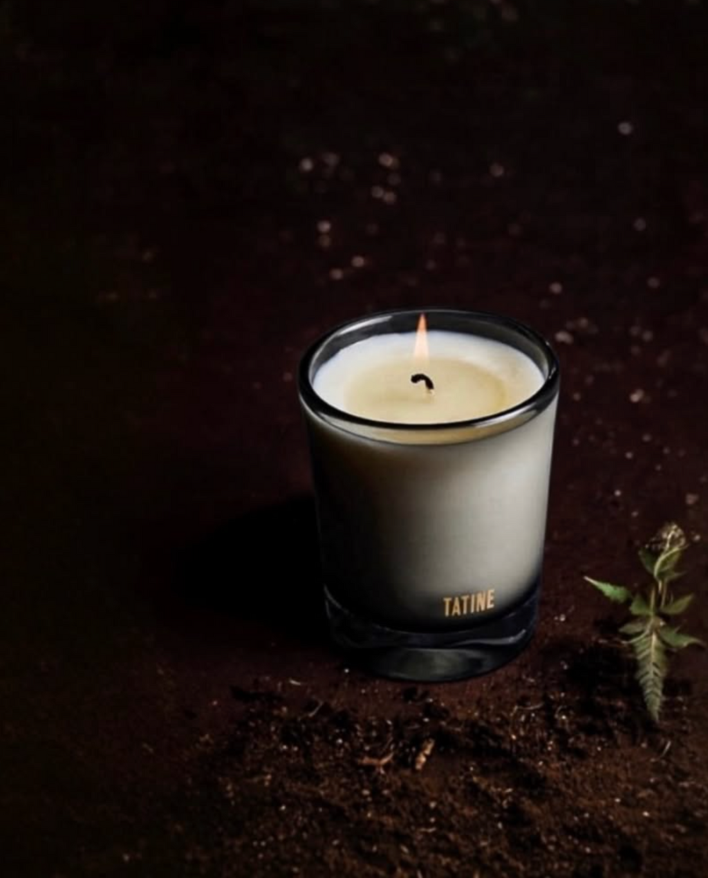 Tatine :: Forest Floor 8 oz. Candle