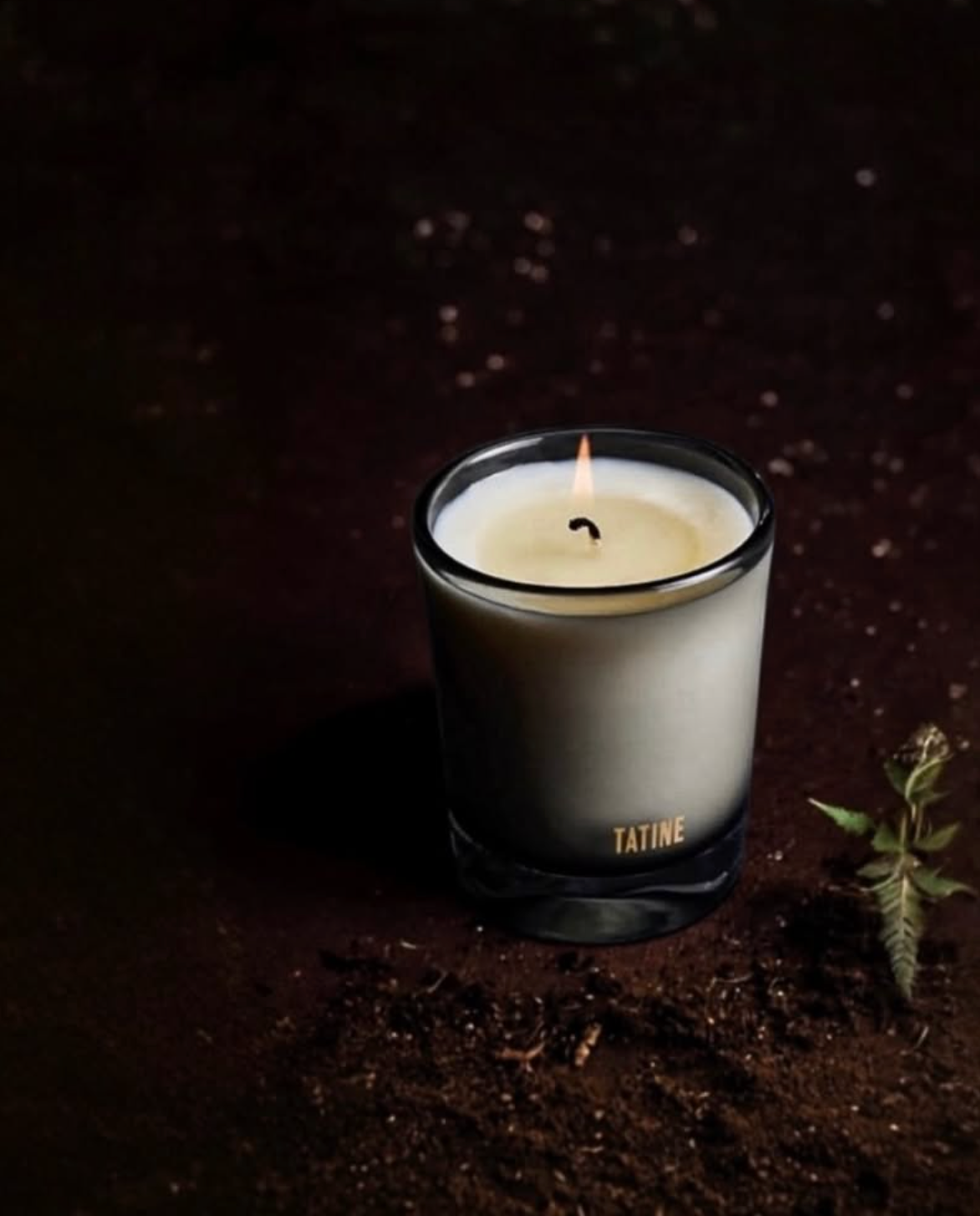 Tatine :: Forest Floor 8 oz. Candle