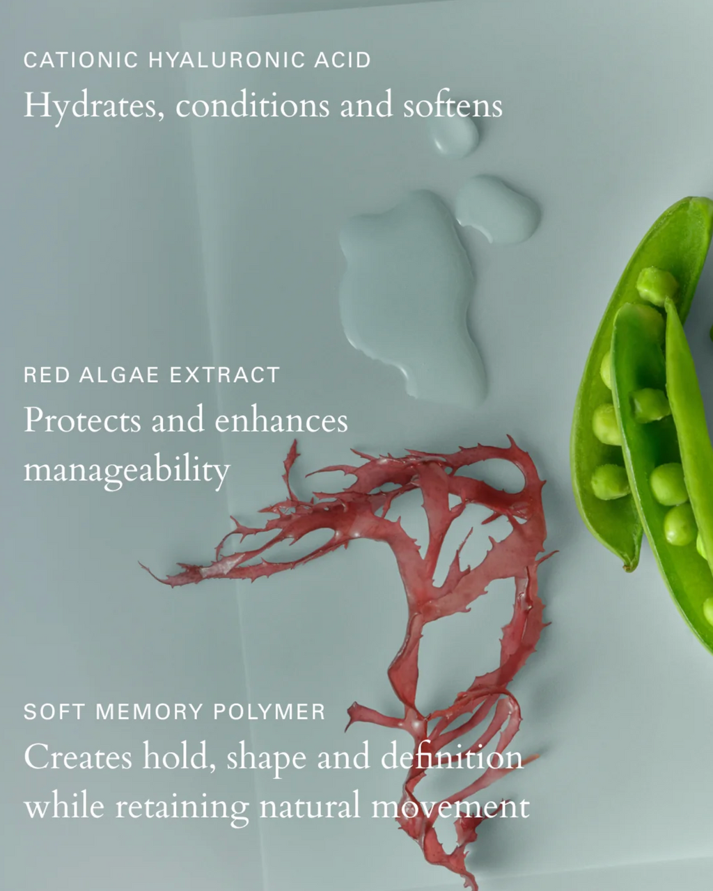 Roz :: Milk Mousse