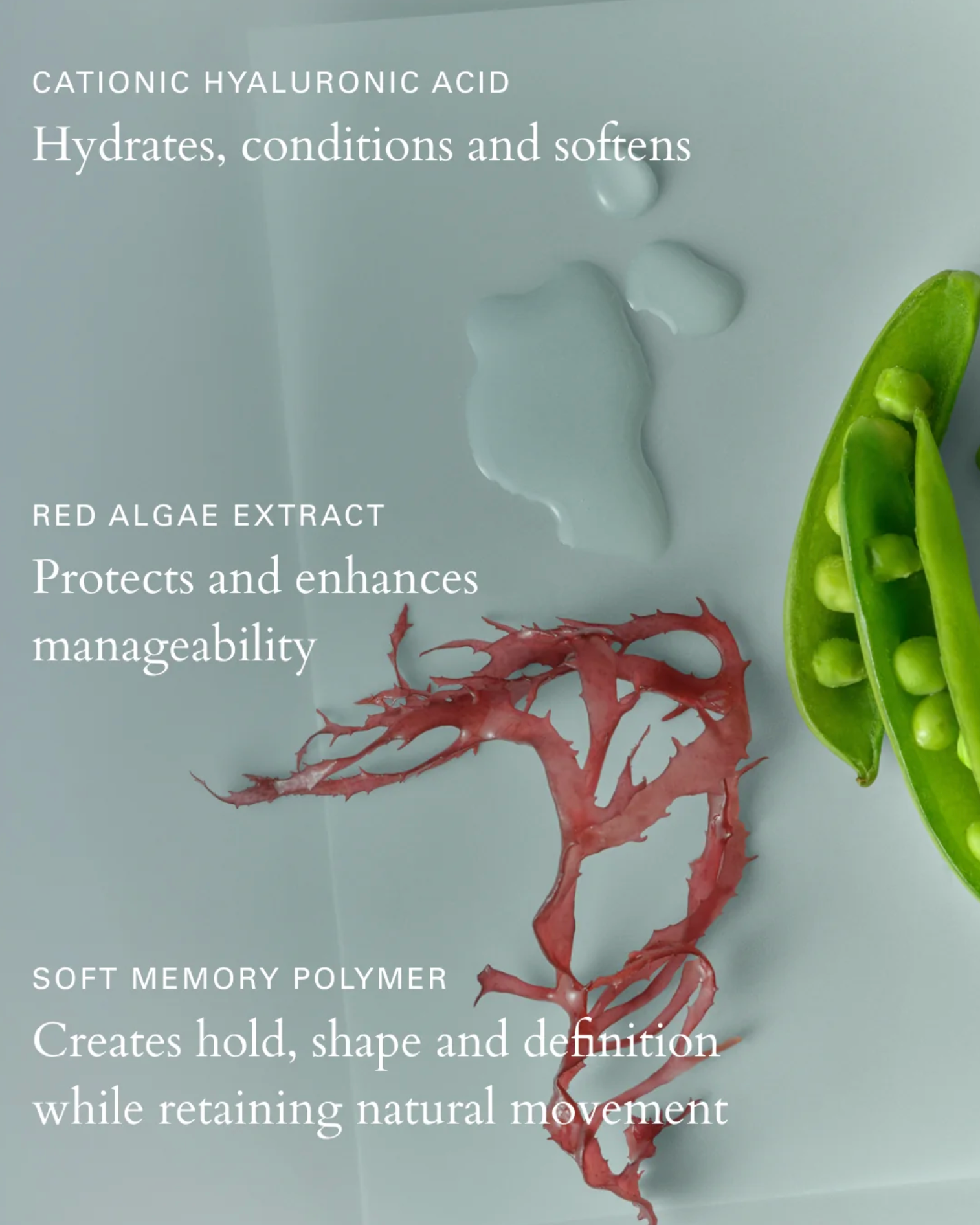 Roz :: Milk Mousse