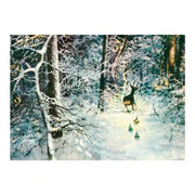 Secrets of the Gnomes :: Kids Book