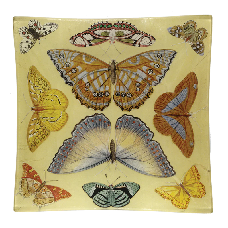 John Derian :: 6" Square Plate