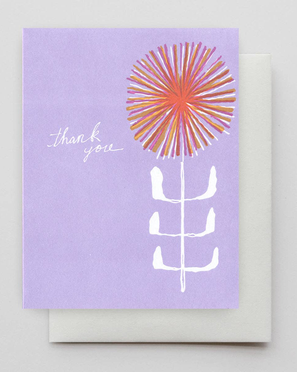 Hammerpress :: Thistle Thank You, Boxed Set