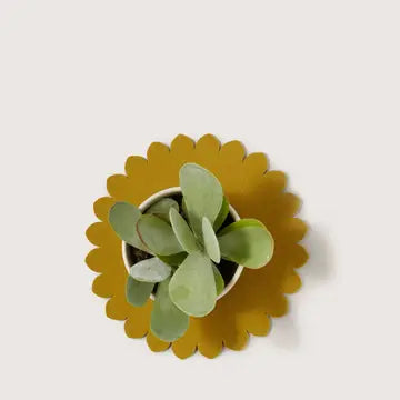 Graf Lantz :: Crest Wool Trivet