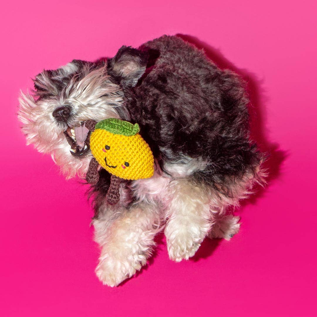 Ware of the Dog :: Cotton Crochet Lemon Dog Toy