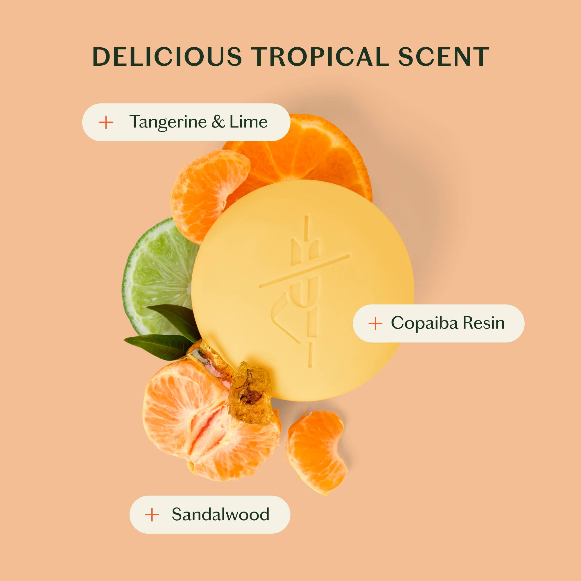 Kate McLeod :: The Sun Stone | After Sun Balm & Lotion Bar