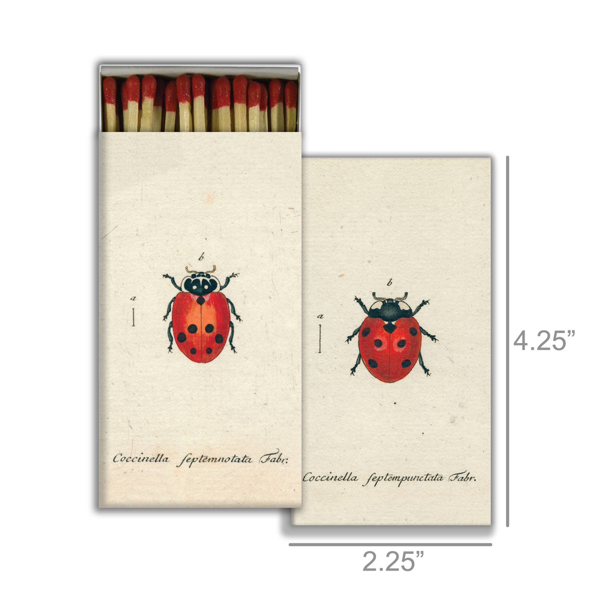 Matches :: Little Lady Bug